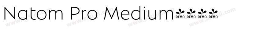 Natom Pro Medium字体转换